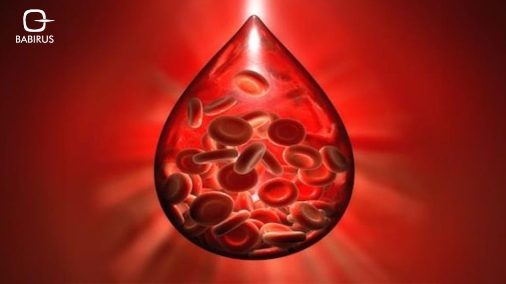 Hematology: A Journey into the World of Blood