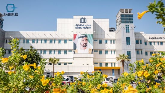 What Are the Health Authorities in the UAE?